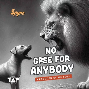 Spyro – No Gree For Anybody NGFA